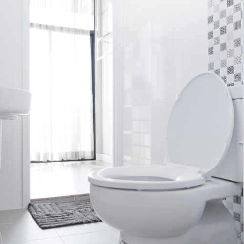 keep your toilet clean